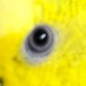 Profilbild von 狂態