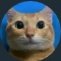 wmeme profil fotoğrafı