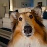 aristi profil fotoğrafı
