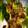 Golden Bullyz 𐤊 profil fotoğrafı