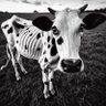 Todo Poder Mama No Povo profil fotoğrafı