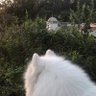峰 profil fotoğrafı