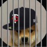 FreeMNTWINS 的头像