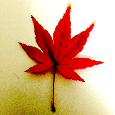 aqhayami's profile picture