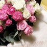 Фото профиля أمل للعقار