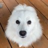 JAQ 的头像