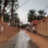 شأن 的头像