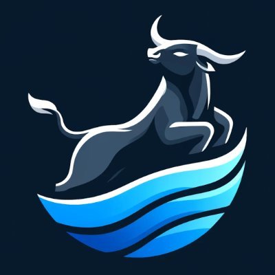 Bullflow.io's profile picture