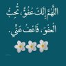 أأأبو بدر ا لبد ر ا ني 的头像