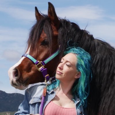 Yell in a War's profile picture