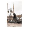 Фото профиля نضال