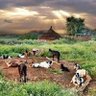 Фото профиля Mohamed Hassan