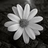 Фото профиля نبأ يقين…