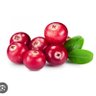Фото профиля Andy Cranberry