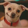 Zah's profile picture