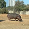 Klimo profil fotoğrafı