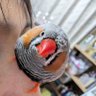信濃國男 profil fotoğrafı