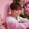 BbooBear🍊🧸 profil fotoğrafı