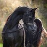 Фото профиля Unicorn