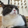 やまと profil fotoğrafı