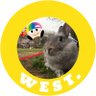 ぱうちゃん's profile picture