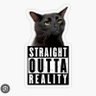 The Fact Mindset cat's profile picture
