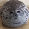 Profilbild von 大大小小的助手