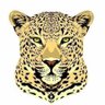 Cardinal 101's profile picture