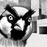 Buildren's profile picture