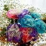 Фото профиля りんご(ringo💐)