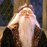 Albus P. Dumbledore 的头像