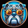 Profilbild von Crypto Dave