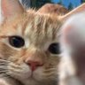 Ddddblue's profile picture