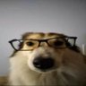Profilbild von é eu