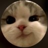 J. 🌙⭐️ profil fotoğrafı