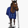 Фото профиля SportMooDog