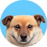 Profilbild von DOGK