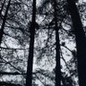 Kyr profil fotoğrafı