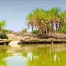 Dahir O (Qabyaalad diid)'s profile picture
