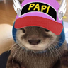 Captain Papi ⭐⭐ 的头像
