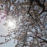 fuyuki profil fotoğrafı