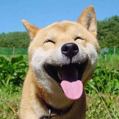Maru's profile picture