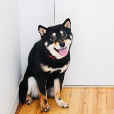 べちか's profile picture