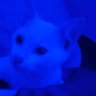 Profilbild von Ian