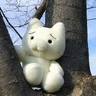 獣王(´・ω・`)ノシ's profile picture