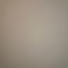 모라's profile picture