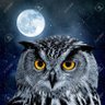 Profilbild von adl