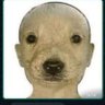 Duduu profil fotoğrafı