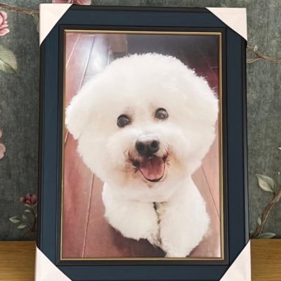 九思's profile picture