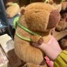 Xingyong's profile picture